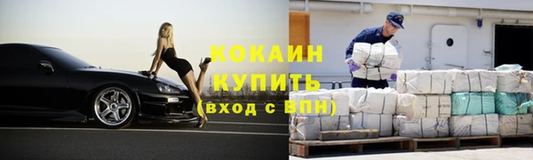 стафф Богданович